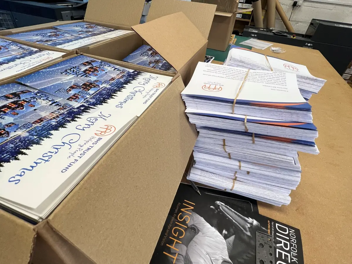Soanes Signs of Norwich Ltd - BHS Trust Fund Christmas Cards & Newsletters - Post visual